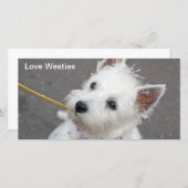 westie photo card (Front/Back)