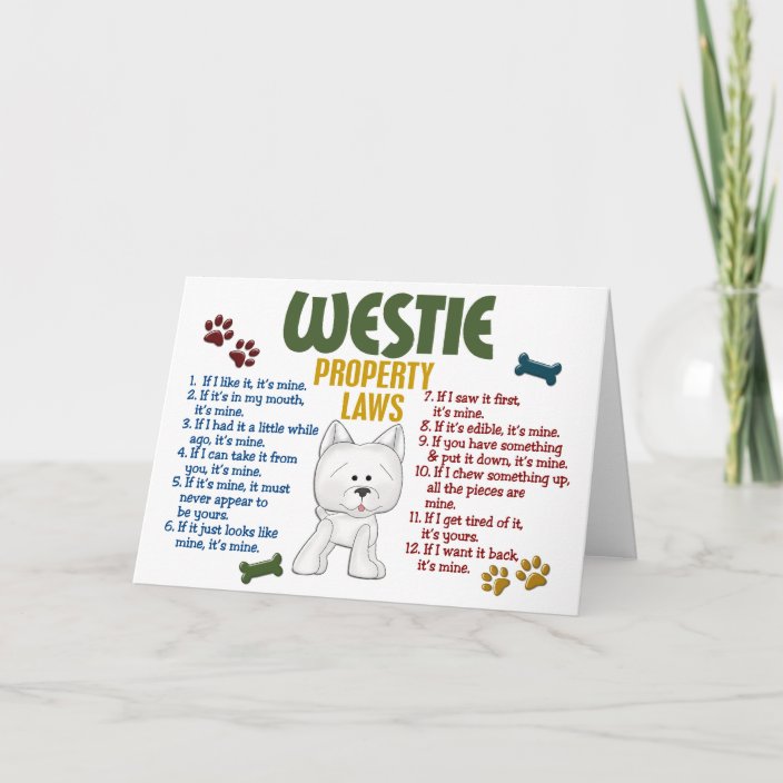 Westie Property Laws 4 Card Zazzle Com