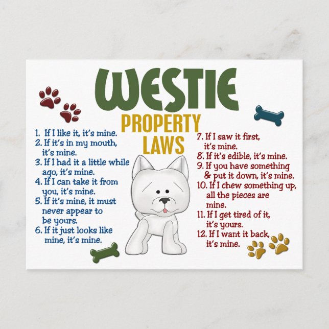 Westie Property Laws 4 Postcard (Front)