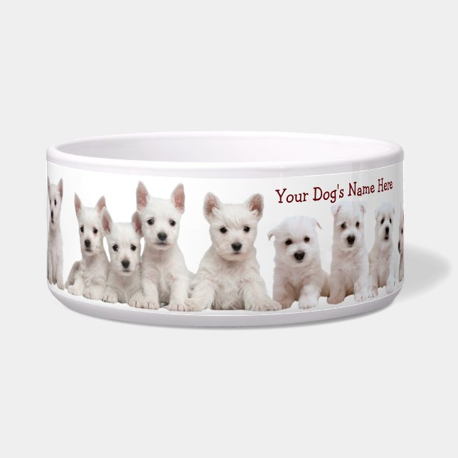 Westie Puppies Waiting Patiently For Their Food Bowl (Front)