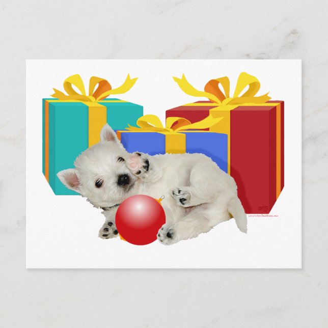 Westie Puppy Christmas Playtime Holiday Postcard (Front)