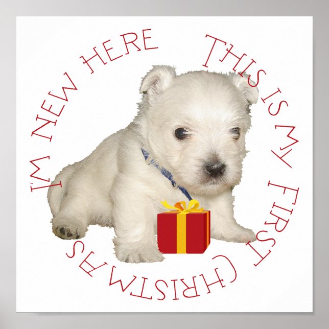Westie Puppy First Christmas Poster (Front)
