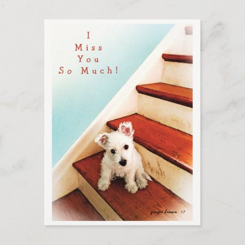 Westie Puppy On Step Missing You 2 Postcard