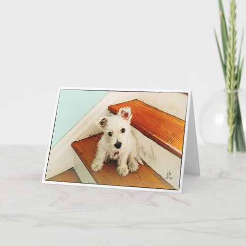 Westie Puppy On Step Thinking Of You Card