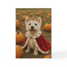 Westie Queen at Halloween