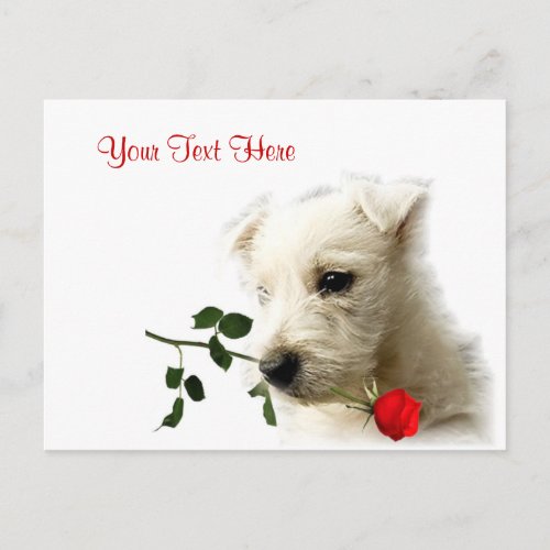 Westie Red Rose Valentine Design Holiday Postcard