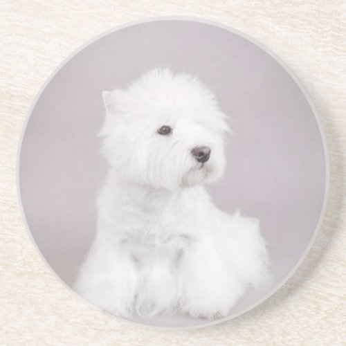 Westie Sandstone Coaster