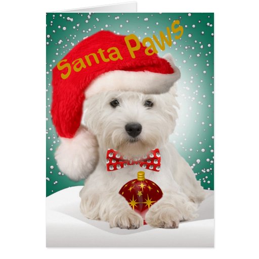 Westie Santa Christmas Cards | Zazzle