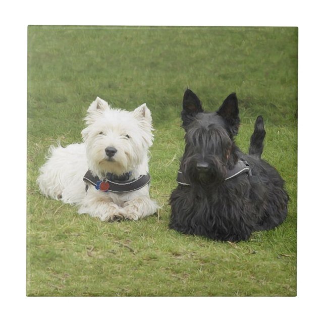 Westie & Scottie Green Grass Tile (Front)