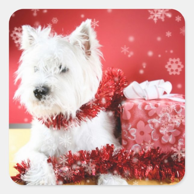 Westie Snowflake Holiday Design Square Sticker (Front)
