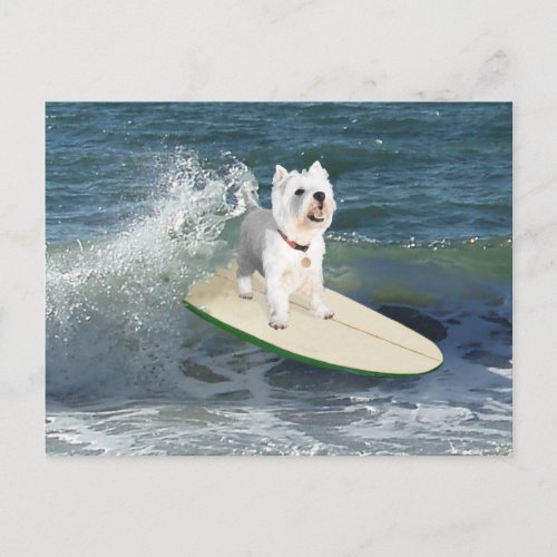 Westie Surfer Postcard
