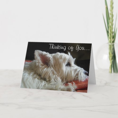 Westie Thinking of You Photo Greeting Card