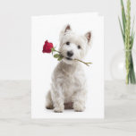Westie Valentine – Bright Love &amp; Devotion Card