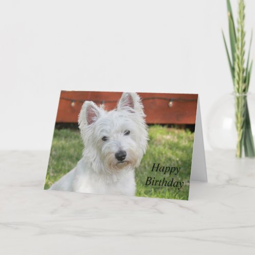 Westie West Highland Terrier dog birthday card