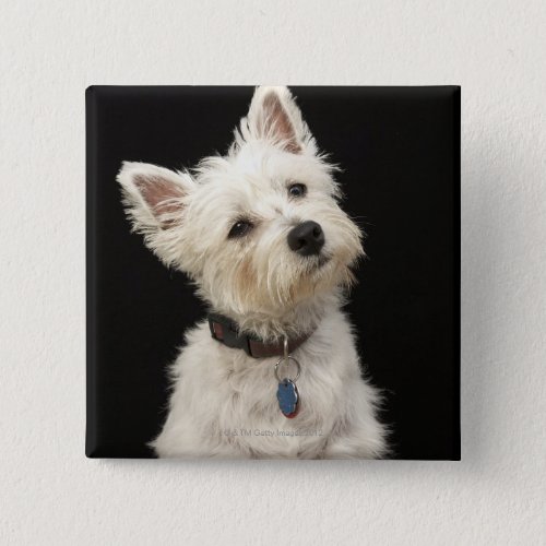 Westie  West Highland Terrier Pinback Button