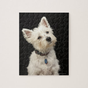 Westie (West Highland terrier) with collar Jigsaw Puzzle