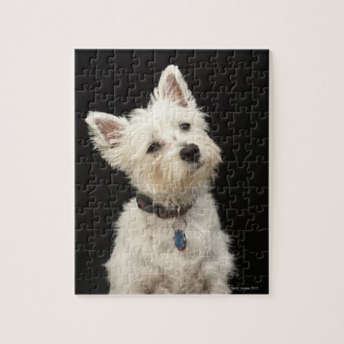 Westie West Highland terrier with collar Jigsaw Puzzle