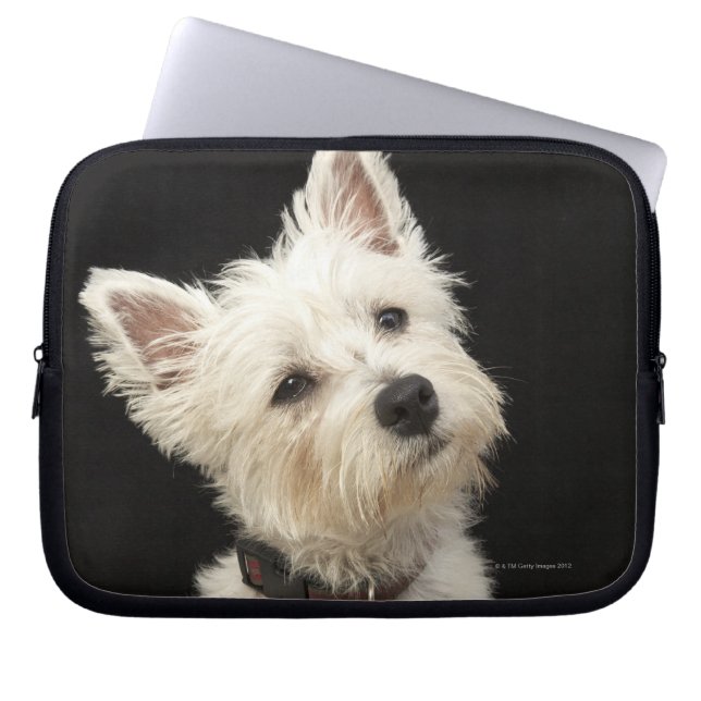 Westie (West Highland terrier) with collar Laptop Sleeve (Front)