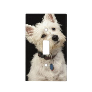 Westie (West Highland terrier) with collar Light Switch Cover