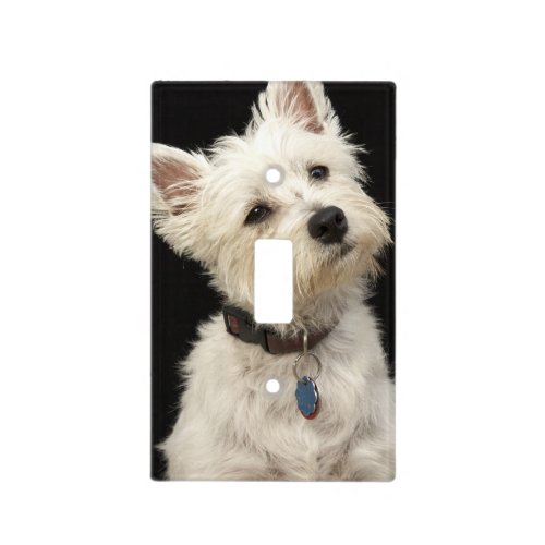 Westie West Highland terrier with collar Light Switch Cover