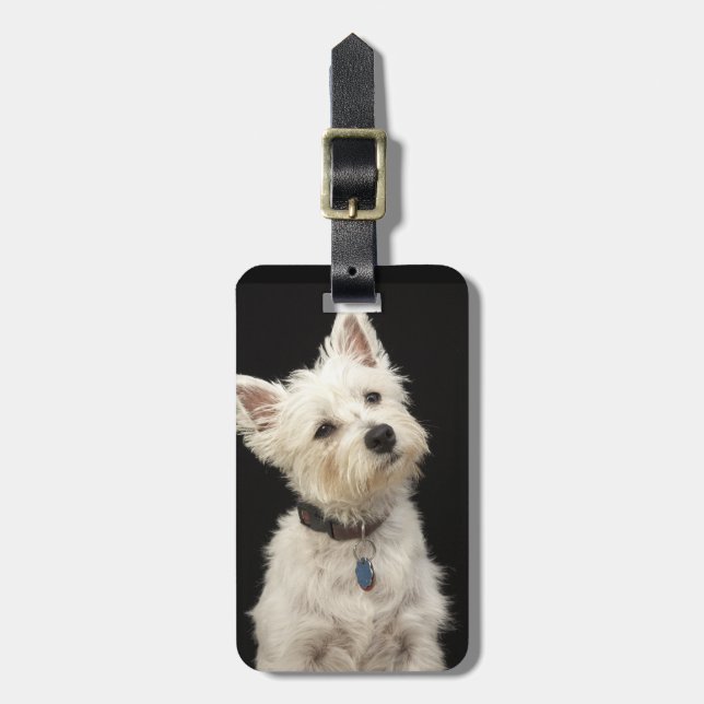 Westie (West Highland terrier) with collar Luggage Tag (Front Vertical)