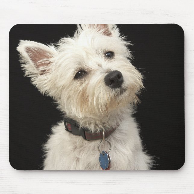 Westie (West Highland terrier) with collar Mouse Pad (Front)
