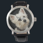 Westie (West Highland terrier) with collar Watch<br><div class="desc">Westie (West Highland terrier) with collar. | M Photo | AssetID: 136644844</div>