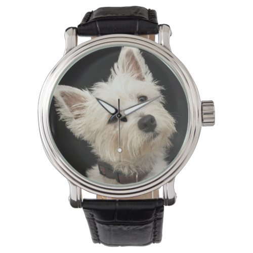 Westie West Highland terrier with collar Watch