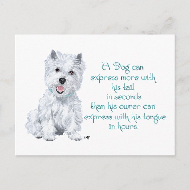 Westie Wisdom - Wagging Tail or Tongue? Postcard (Front)