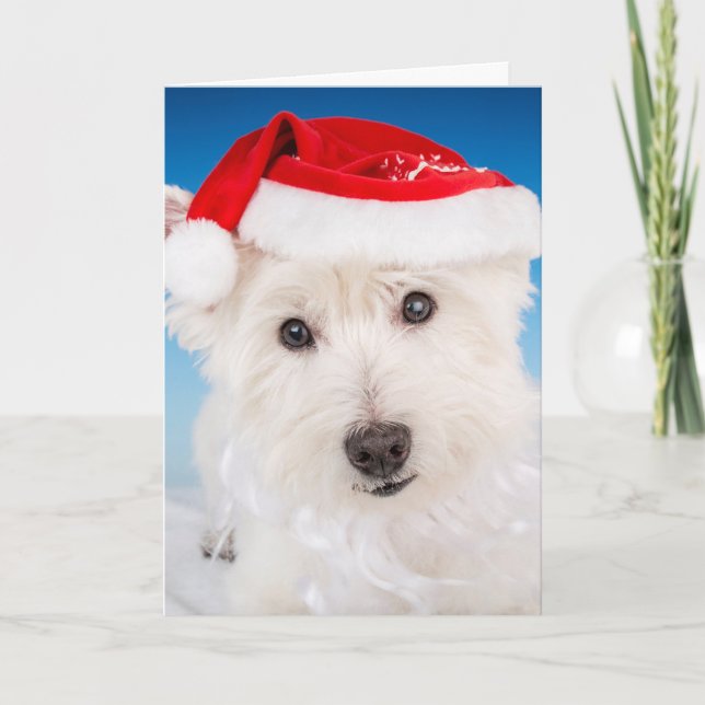 Westie with Santa Hat and Beard Holiday Card (Front)