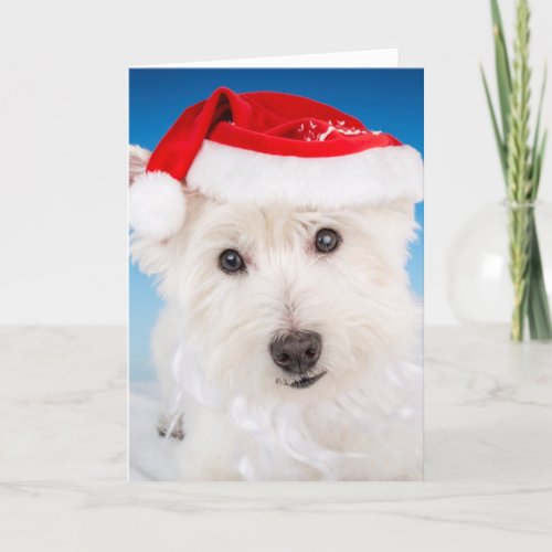Westie with Santa Hat and Beard Holiday Card