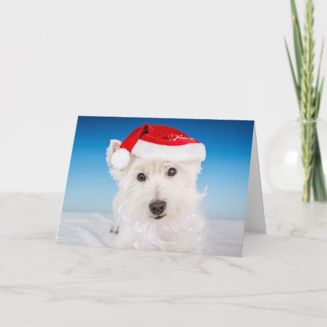 Westie with Santa Hat and Beard Holiday Card (Front)