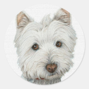 Westie with texture effect classic round sticker