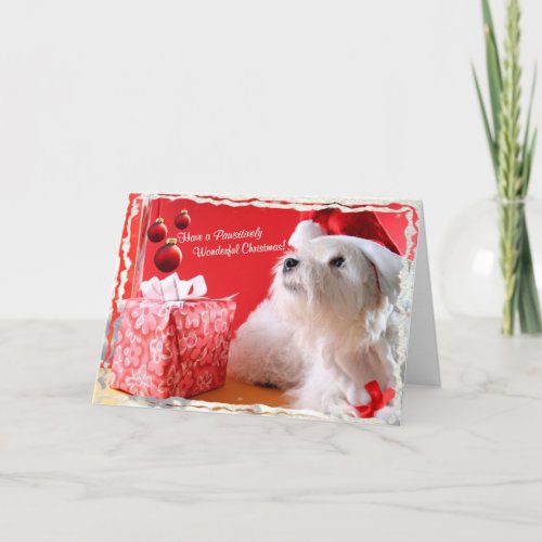 Westie Wonderful Christmas Wishes 4 _ Customize It Holiday Card