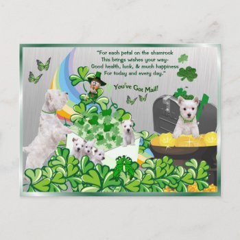 Westie You’ve Got Mail - St Patrick's Day Version Postcard by 4westies at Zazzle