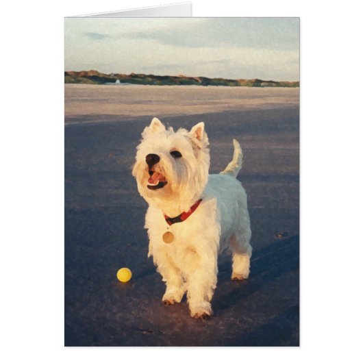 Westies and the Ocean Cards (Front)