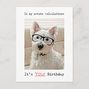 Westie's Calculation, It's Your Birthday, Postcard