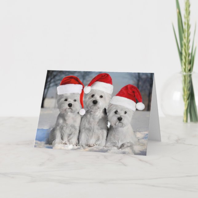Westies In the Snow Holiday Card (Front)