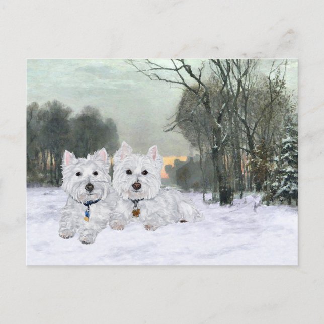 Westies in Wintertime Postcard (Front)