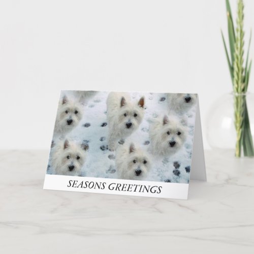 Westies Snow Christmas Card Mum Dad Friend etc