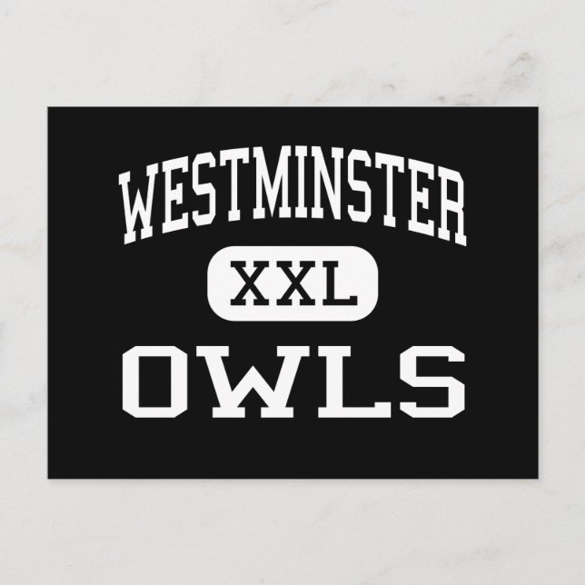 Westminster - Owls - High - Westminster Maryland Postcard (Front)