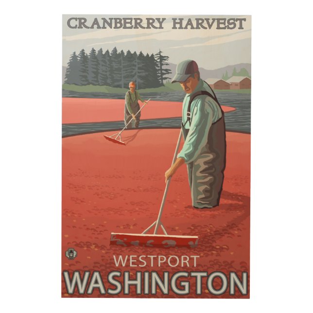 Westport, WashingtonCranberry Bog Harvest Wood Wall Art (Front)