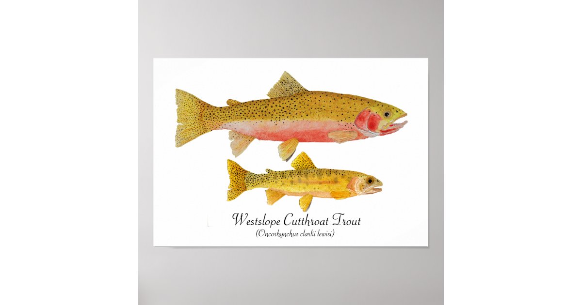  Yellowstone Fly Fishing, classy, classic keepsake