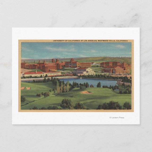 Westwood Hills, CA - View of U.C.L.A. Campus Postcard (Front)