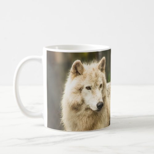 Wet Arctic Wolf in Spring Photo Coffee Mug