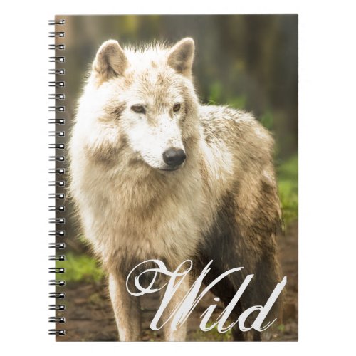 Wet Arctic Wolf in Spring Photo Notebook