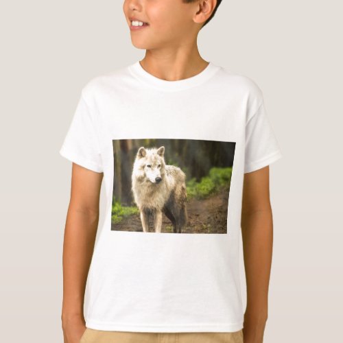 Wet Arctic Wolf in Spring Photo T_Shirt