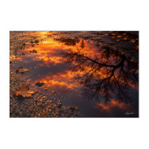 Wet Asphalt Sunset Reflection Photography