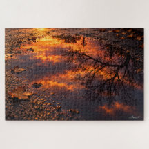 Wet Asphalt Sunset Reflection Photography