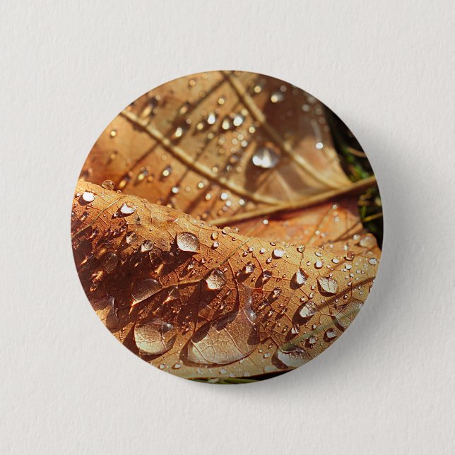 Wet Autumn Leaf - Button (Front)